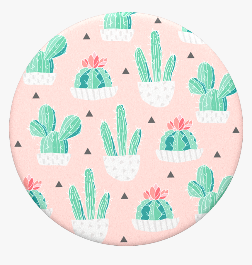 Cactus Pot , Png Download, Transparent Png, Free Download