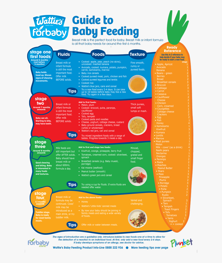 Baby Foods By Age List, HD Png Download, Free Download