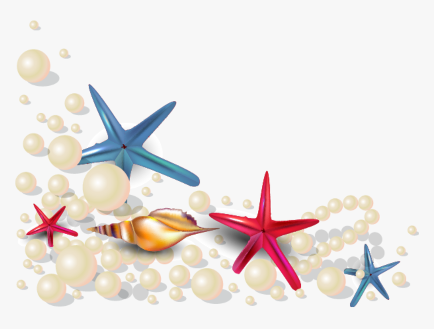 #mq #sea #seastar #beach #pearl #pearls - Perl Oister In Beach, HD Png Download, Free Download