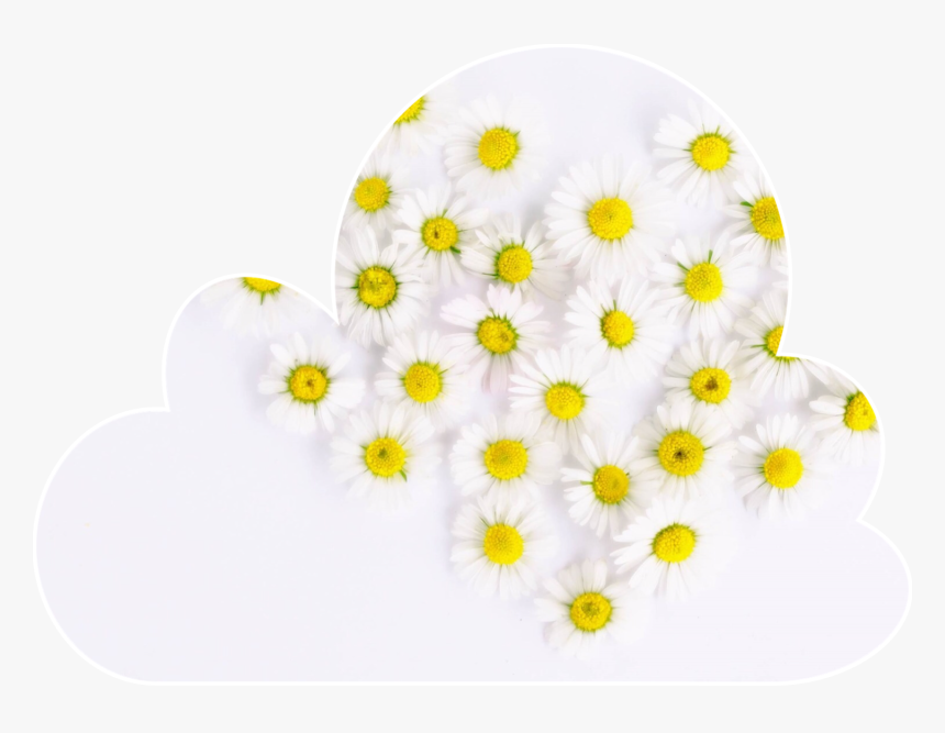 #cloud #shape #flowrs - Margaritas En Forma De Corazon, HD Png Download, Free Download