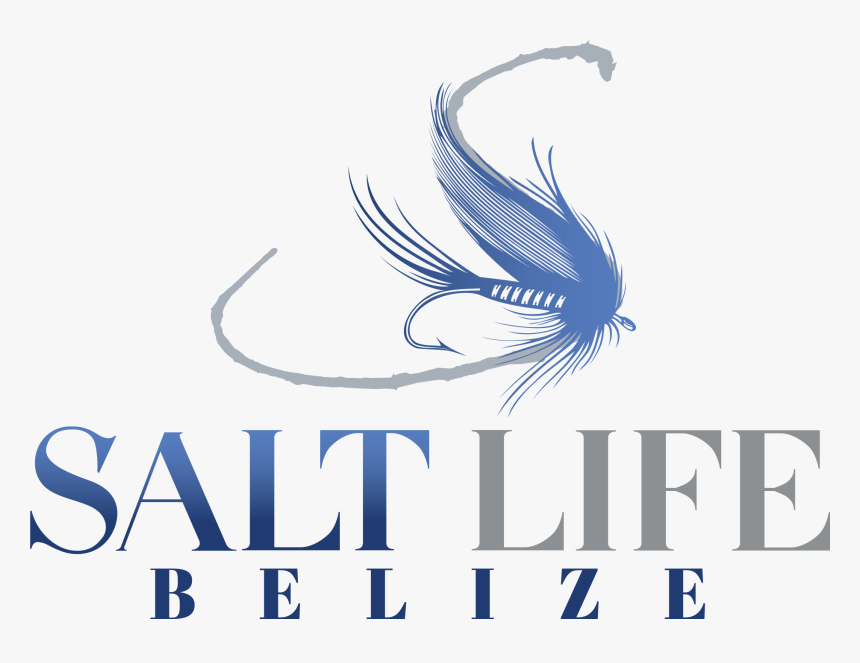 Salt Life - Graphic Design, HD Png Download, Free Download