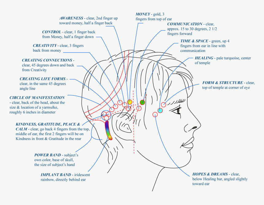 Access Consciousness The Bars - Access Consciousness Bars Pdf, HD Png Download, Free Download