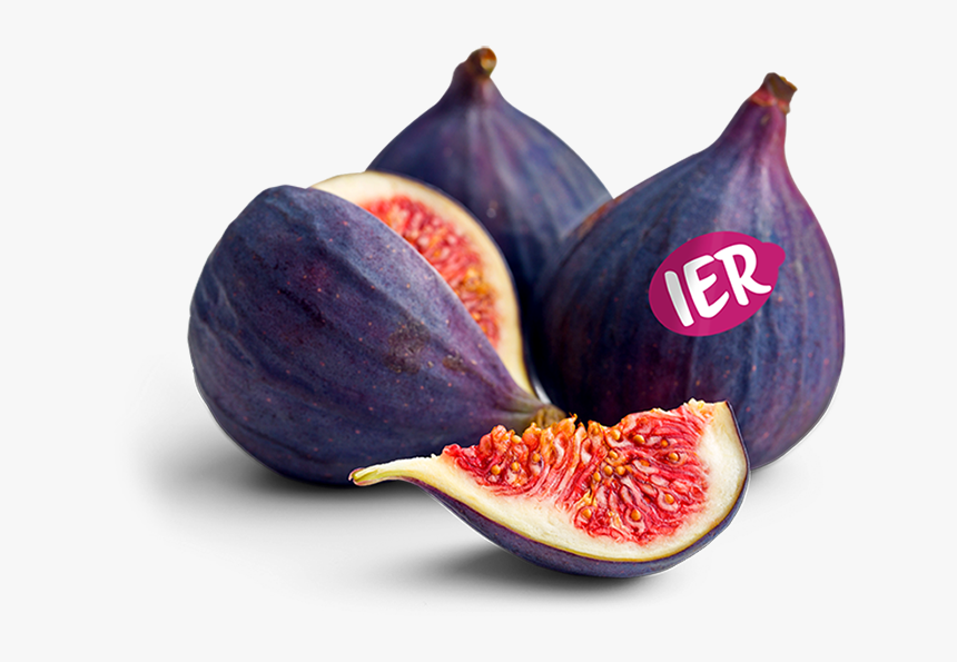 Fruit - Common Fig, HD Png Download, Free Download