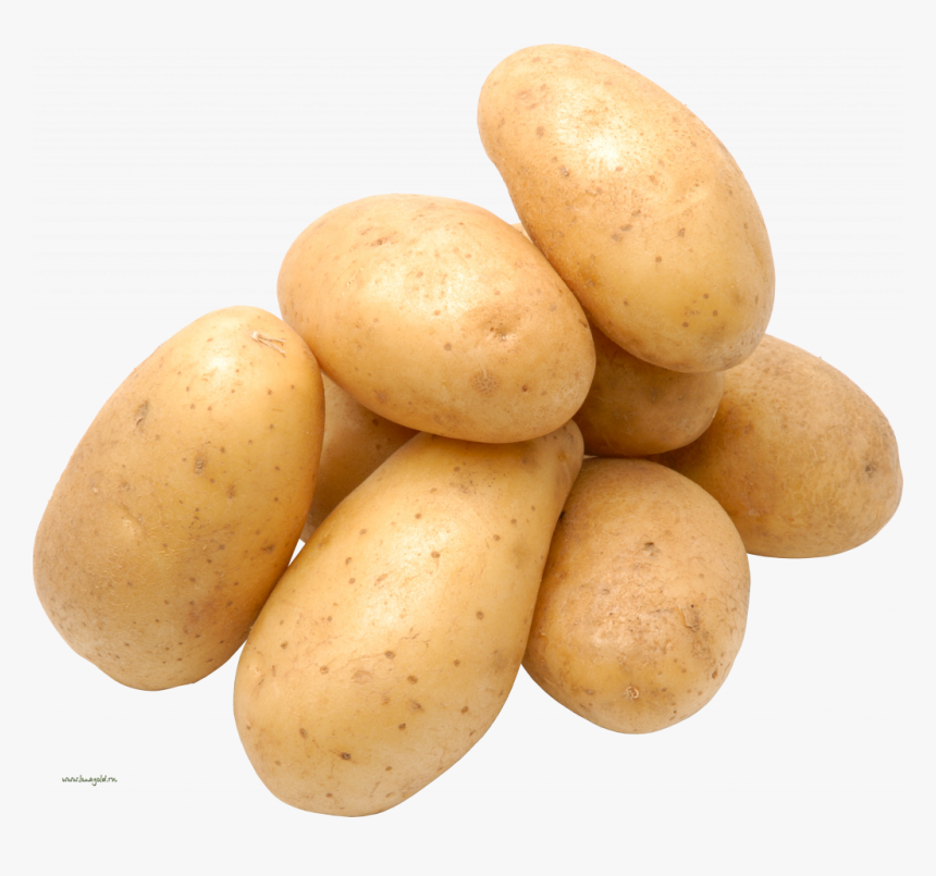 Potato Png, Transparent Png, Free Download