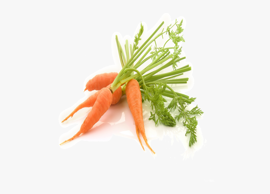 Drumstick Vegetable Png, Transparent Png, Free Download