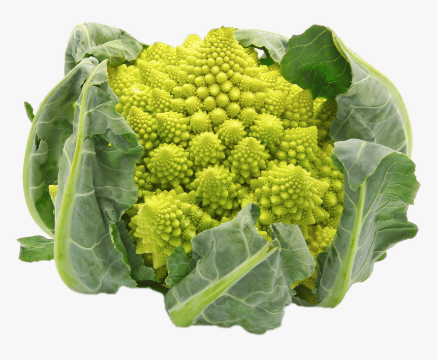 Broccoli Cabbage, HD Png Download, Free Download