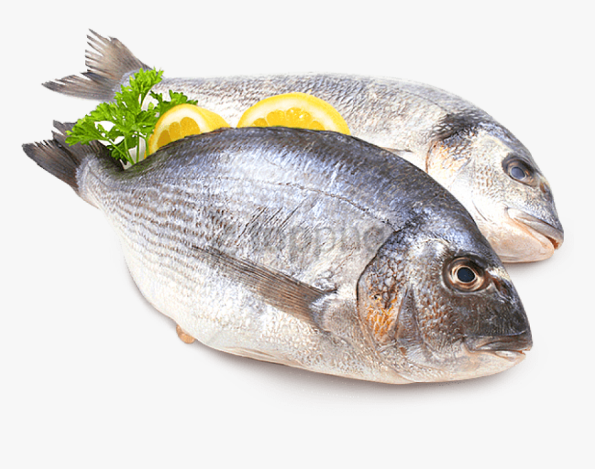 Free Png Fish Meat Png Png Image With Transparent Background - Seafood Fish Png, Png Download, Free Download