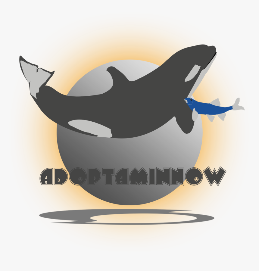 Final 2 - Killer Whale, HD Png Download, Free Download