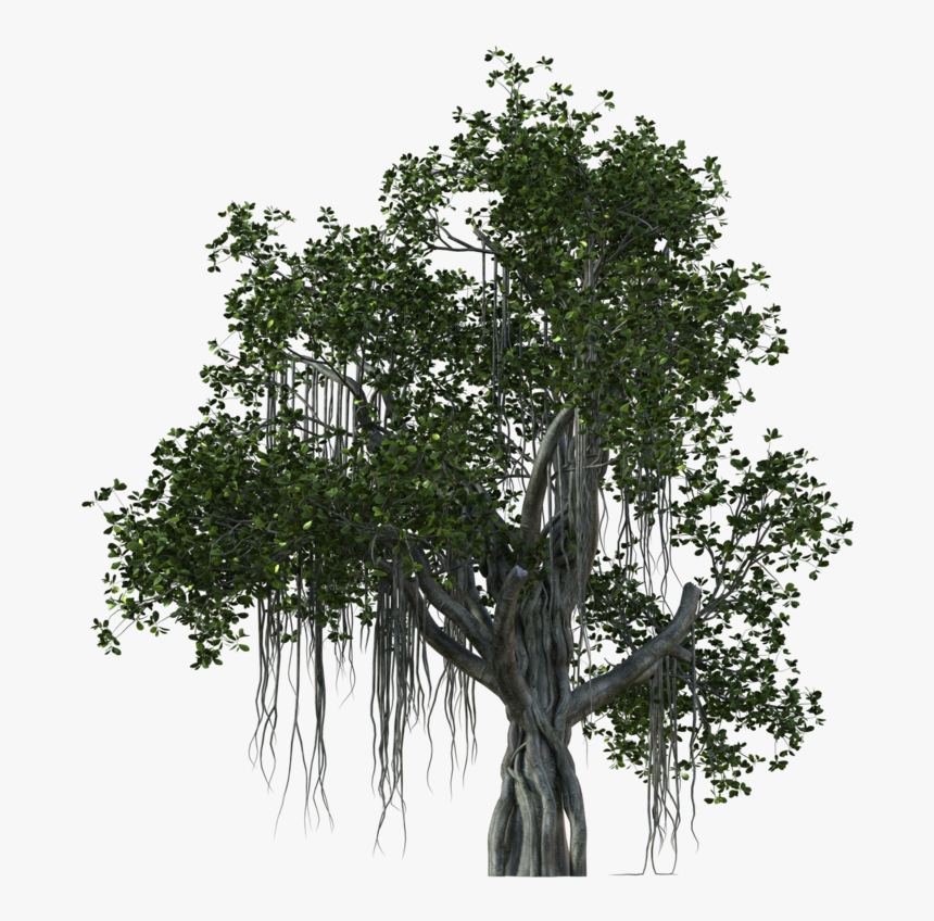 Tropical Branch Png - Wood, Transparent Png, Free Download