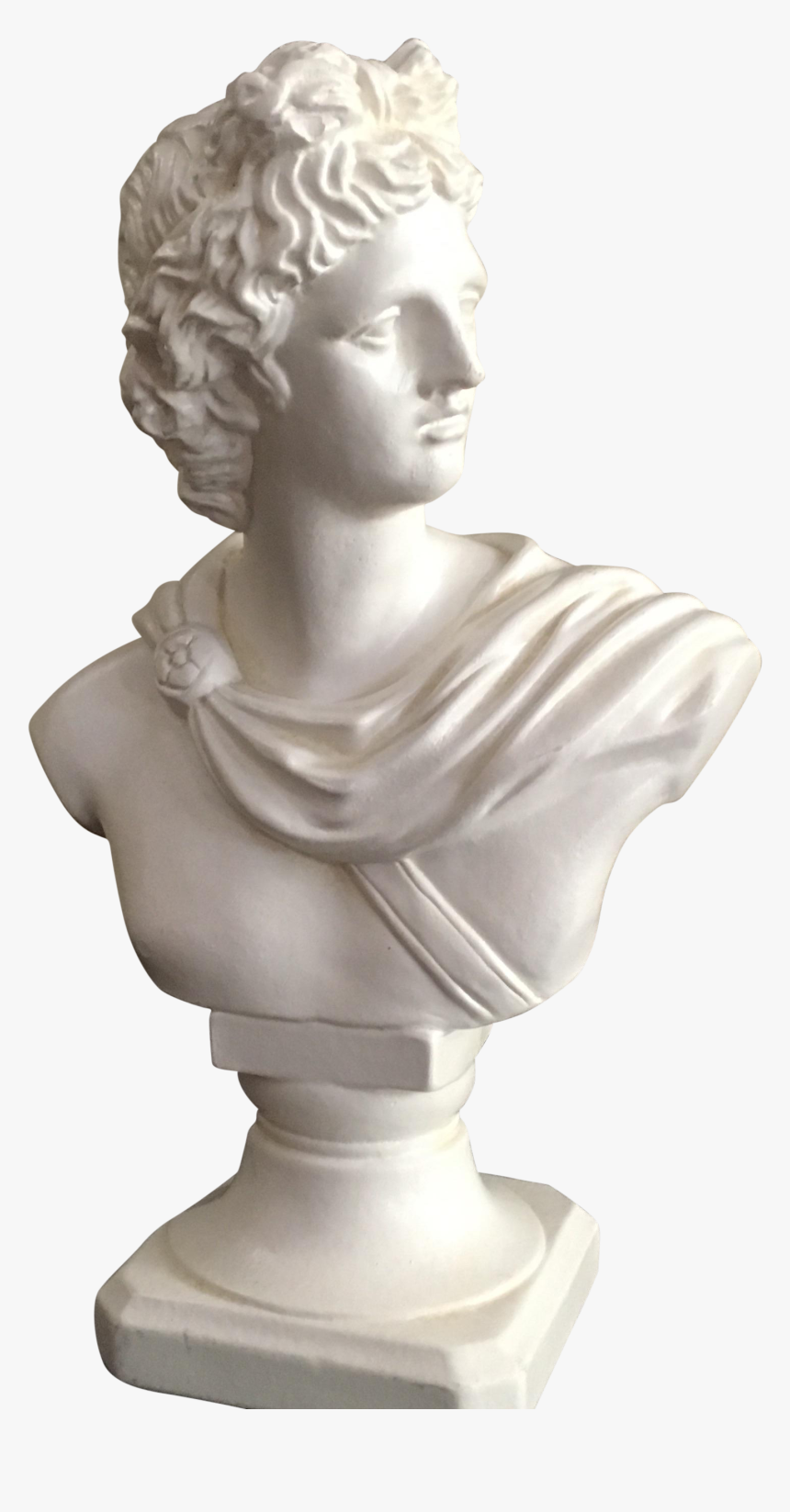 Apollo Statue Png - Bust, Transparent Png, Free Download