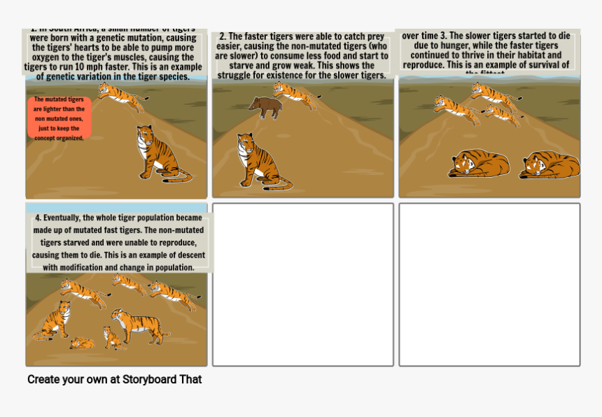 Population Genetic Mutation Storyboard, HD Png Download, Free Download