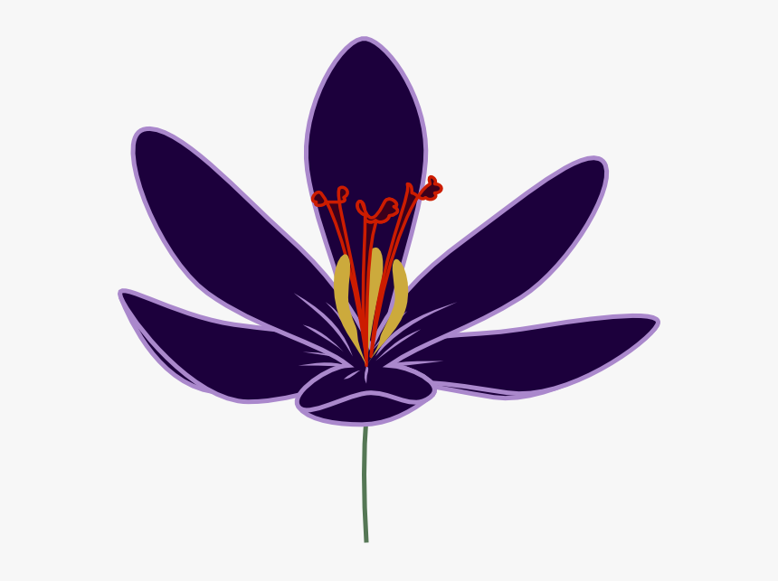 Clipart Of Barry, Crocus And Dogwood Tree - Illustration, HD Png Download, Free Download