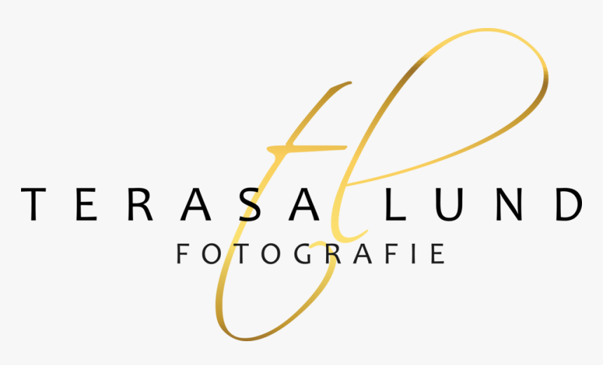 Terasa Lund Fotografie - Fête De La Musique, HD Png Download, Free Download