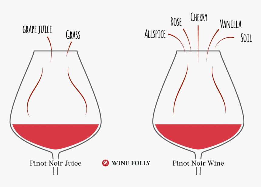 Pinot Noir Wine Aroma, HD Png Download, Free Download