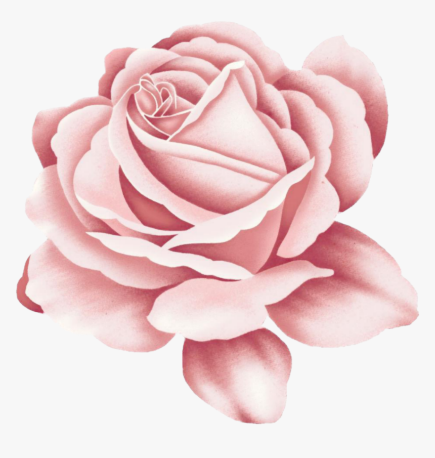 #skittles - Rose Pink Color Tattoo, HD Png Download, Free Download