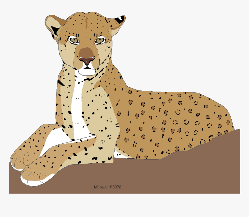 Lion, HD Png Download, Free Download