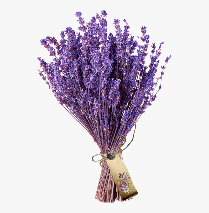 Transparent Lavender Bush Png - Flower Bouquet Png Lavender, Png Download, Free Download