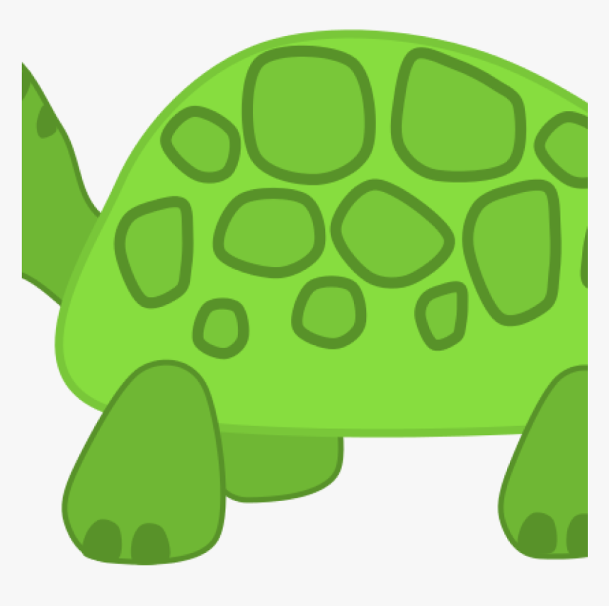 Turtle Images Clip Art Free Clipart Turtle Scout Science - Turtle Transparent Clip Art, HD Png Download, Free Download