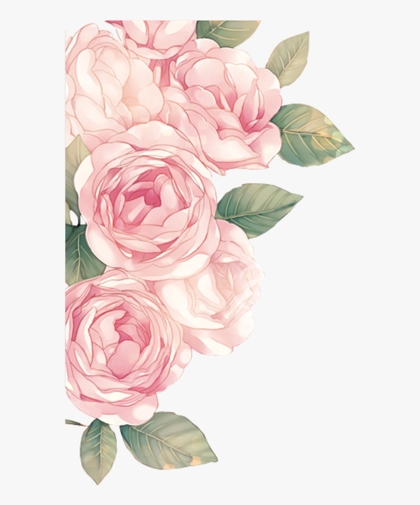 Transparent Cute Flower Png - Pink Roses Png, Png Download, Free Download