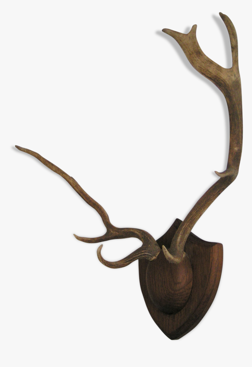 Deer Antlers"
 Src="https - Reindeer, HD Png Download, Free Download