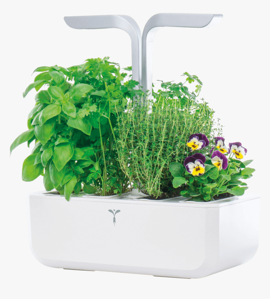 Indoor Garden, Véritable Smart, White Veritable Vpot - Flowerpot, HD Png Download, Free Download