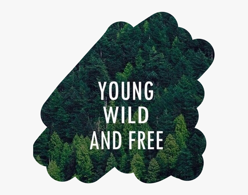 #young#wild#and#free #freetoedit - Young Wild Free Hd, HD Png Download, Free Download