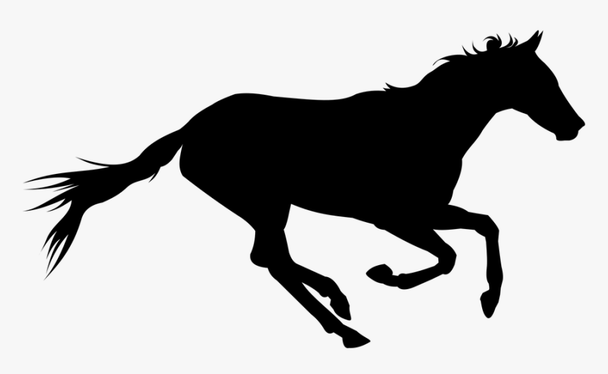 Horse, HD Png Download, Free Download