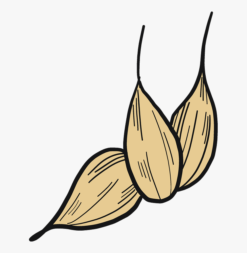 Wheat Grains Clipart, HD Png Download, Free Download