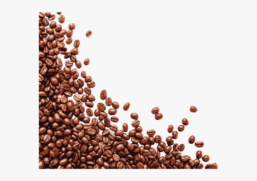 Grains De Caf Grain De Caf Png Transparent Png Kindpng
