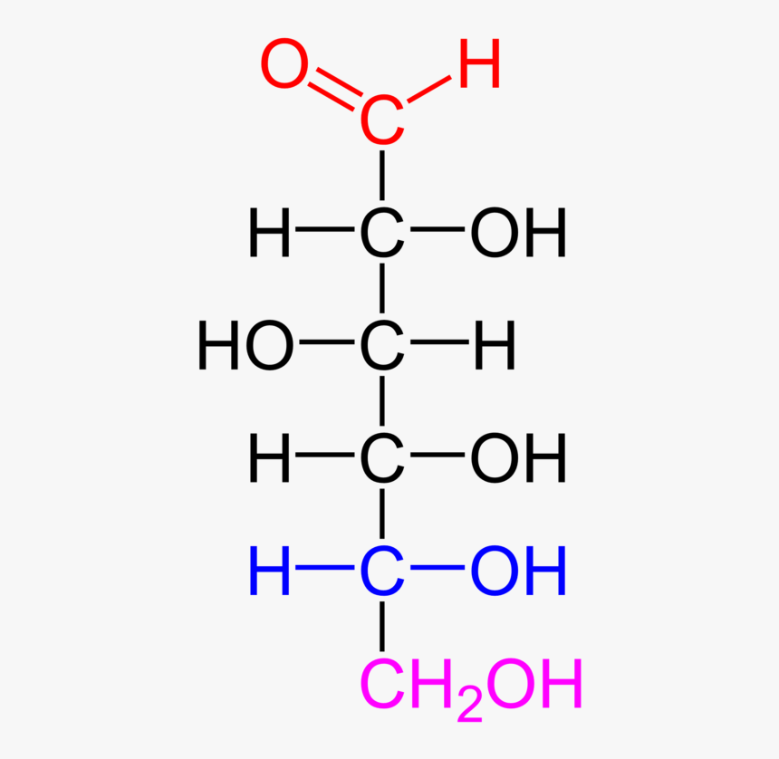 Difference Between Carbohydrates And Lipids Structure, HD Png Download, Free Download