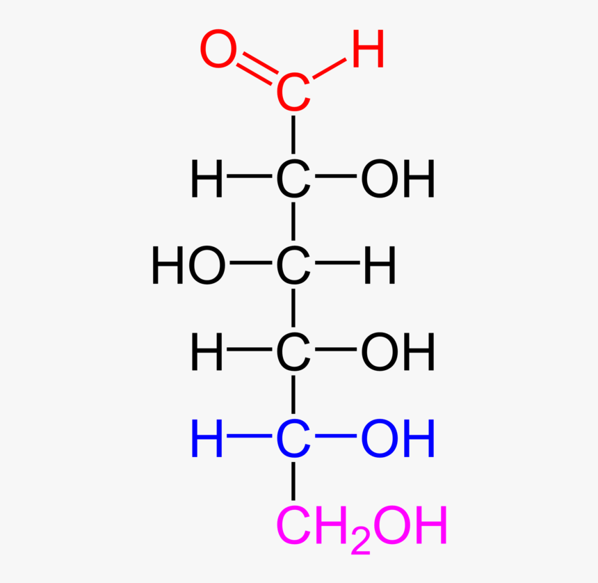 Difference Between Structure Of Carbohydrates And Lipids Infoupdate