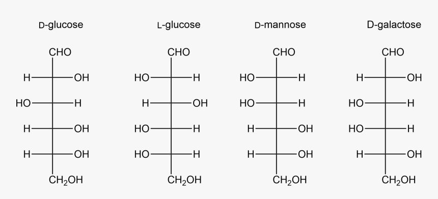 Formula Estrutural Da Glicose, HD Png Download, Free Download