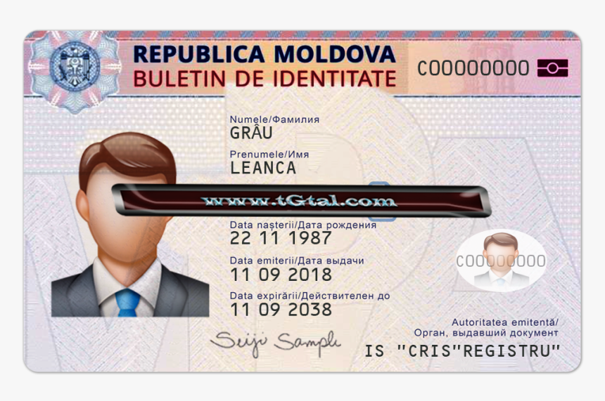 Moldova - Maryland Driver License Template, HD Png Download, Free Download