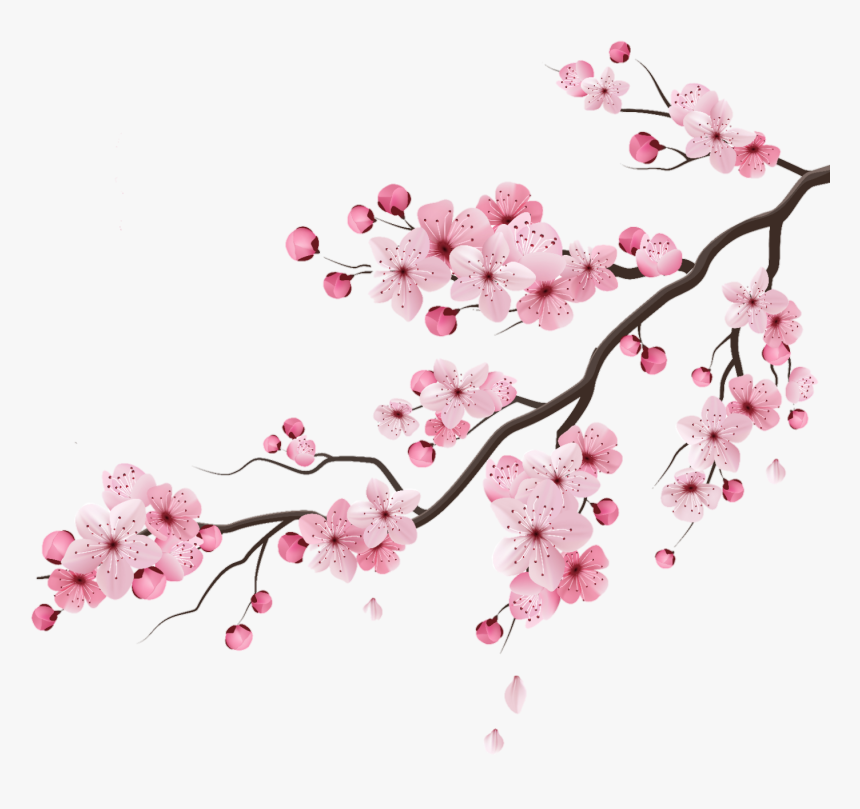 #cherry #cherryblossom #blossom #peachflower #peach - Transparent Cherry Blossom Vector, HD Png Download, Free Download