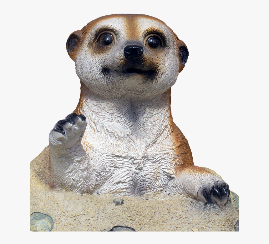 Meerkat, HD Png Download, Free Download