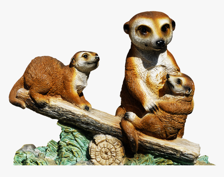 Nb/12, Background V - Meerkat, HD Png Download, Free Download