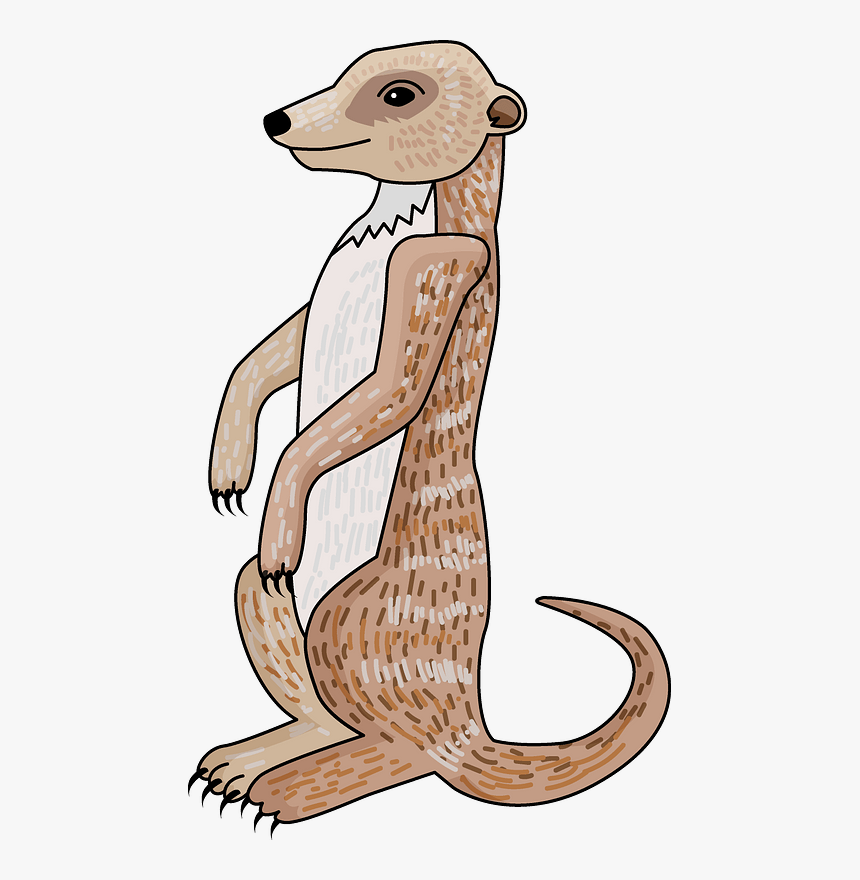 Meerkat Clipart - Illustration, HD Png Download, Free Download