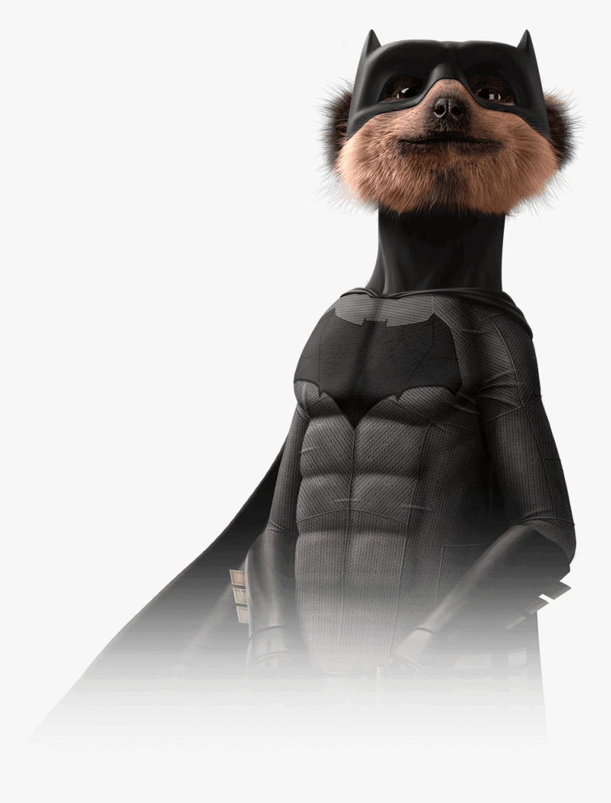 Meerkat Batman, HD Png Download, Free Download
