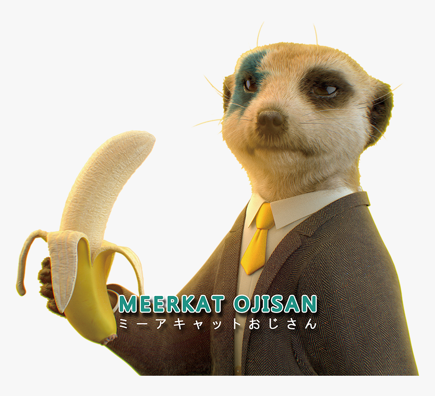 Meerkat, HD Png Download, Free Download