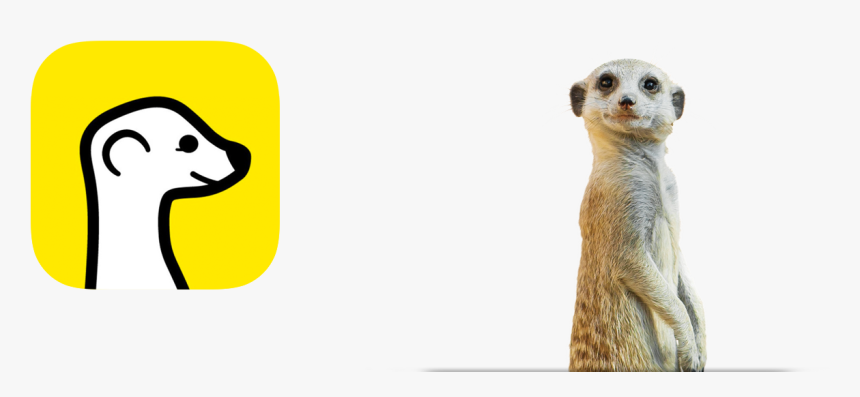 Meerkat Logo, HD Png Download, Free Download