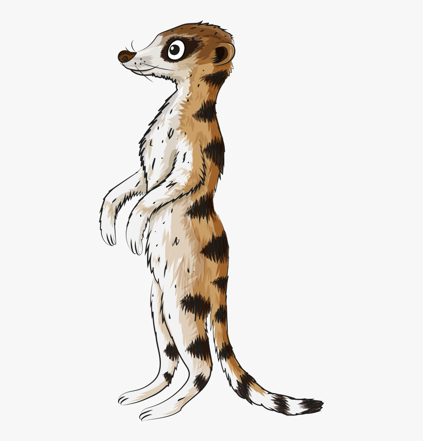 Meerkat, HD Png Download, Free Download