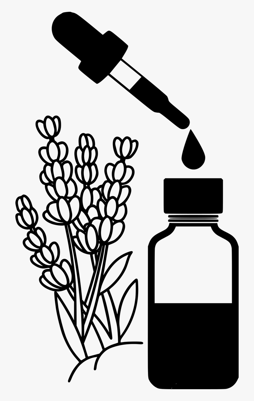 Essential Oil Bottle Clipart, HD Png Download, Free Download