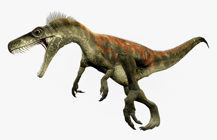 Herrerasaurus Png, Transparent Png, Free Download