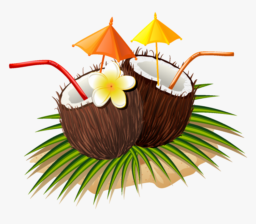 Hand Drawn Natural Juice Coconut Vector - Transparent Coconut Drink Vector Png, Png Download, Free Download