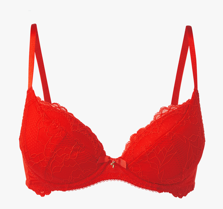 Esmara Lingerie Damen Pushup Bh, HD Png Download - kindpng