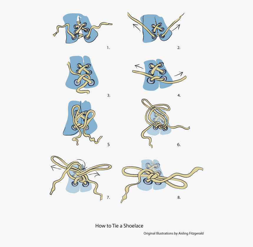 Information Leaflet Illustrating How To Tie A Shoelace - Visual Instructions For Tying Shoes, HD Png Download, Free Download