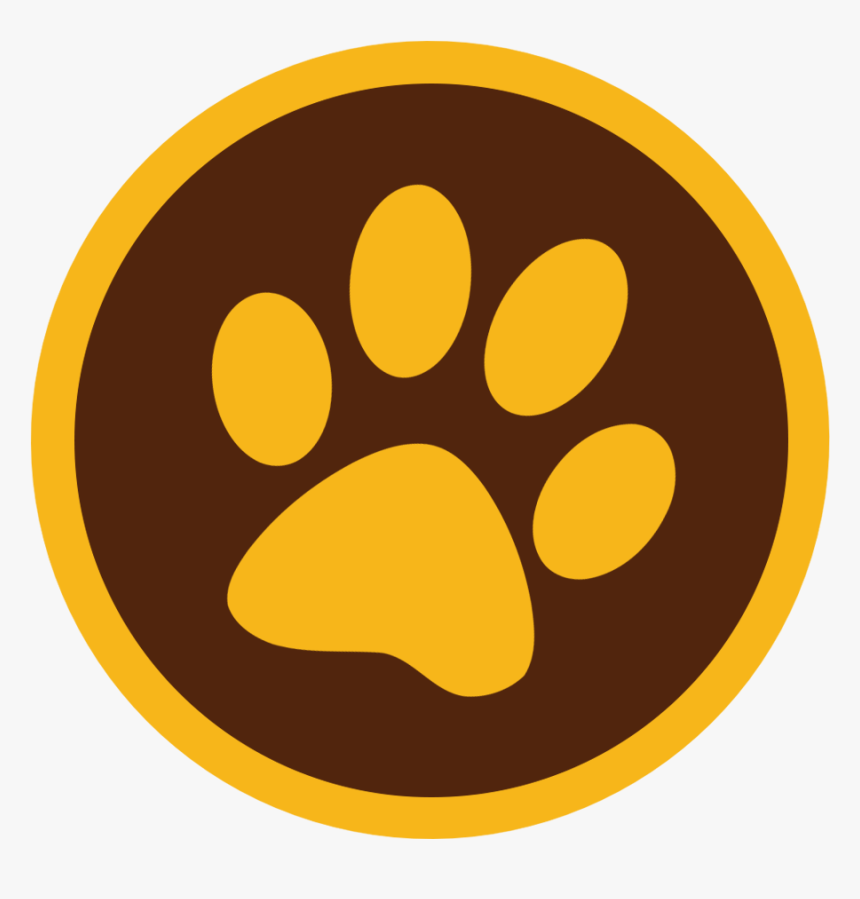 Border Collie, HD Png Download, Free Download