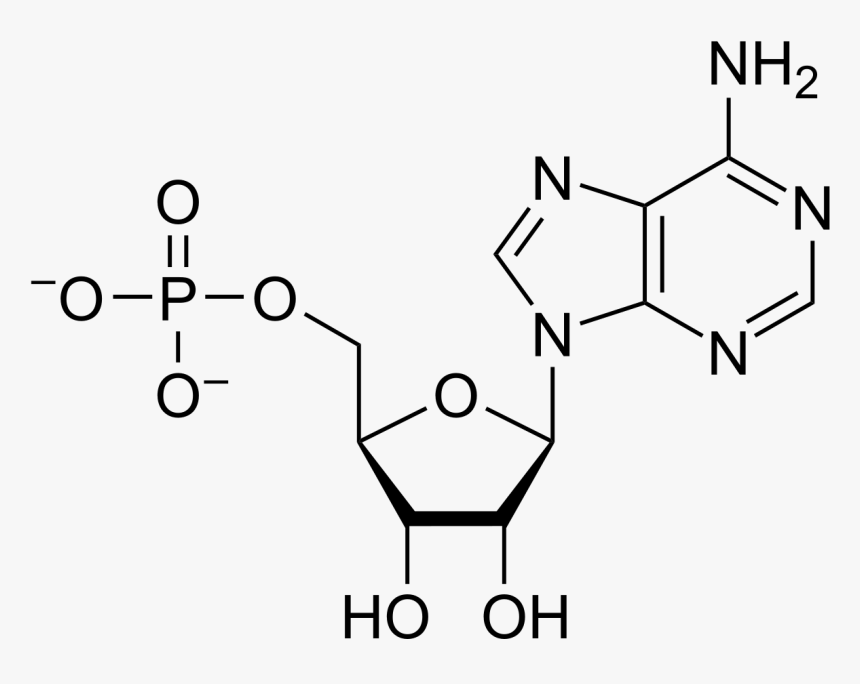 Diagram, HD Png Download, Free Download