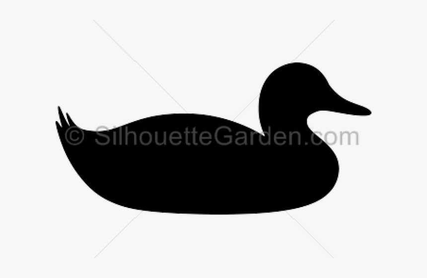 Duck Silhouette - Mallard Duck Silhouette Clip Art, HD Png Download, Free Download