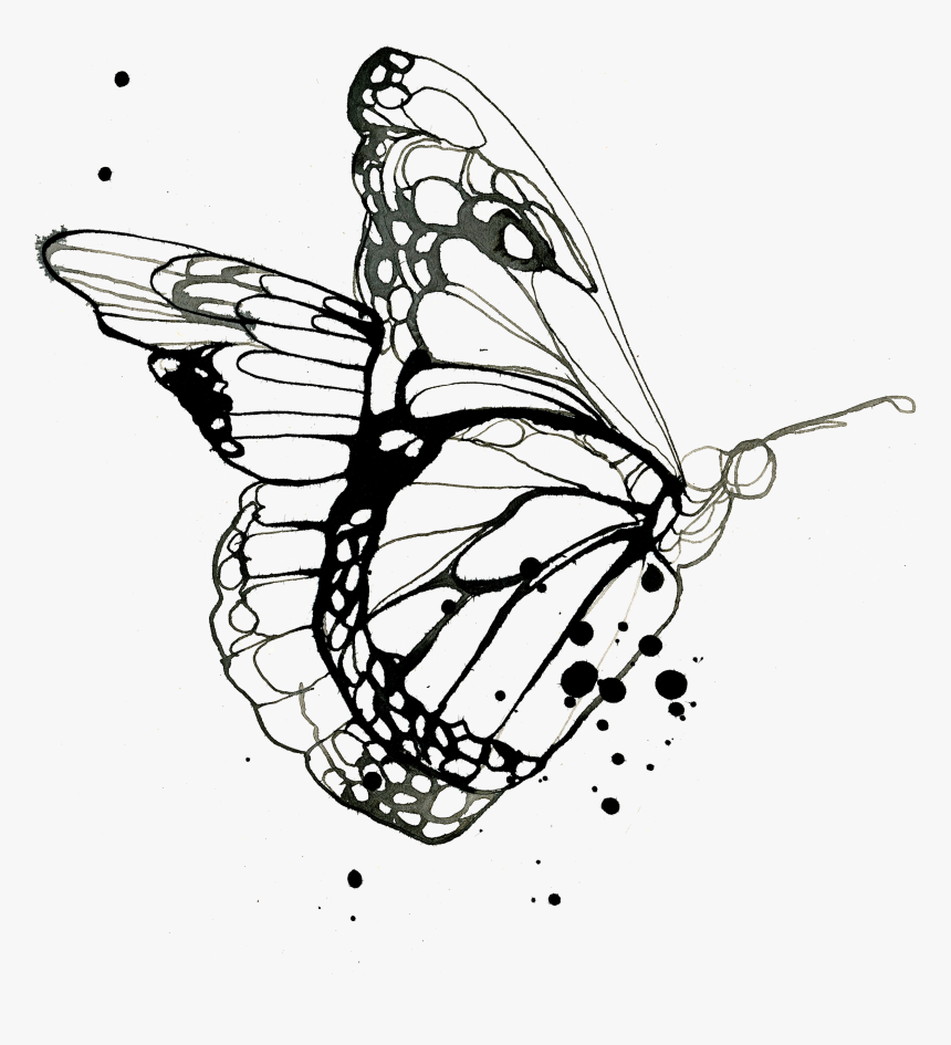 Tattly Flutter Stina Persson 00 V=1531942186 - Butterfly Drawing Tattoo, HD Png Download, Free Download